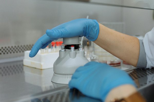 Les habitudes saines pour une vie plus longue et plus heureuse